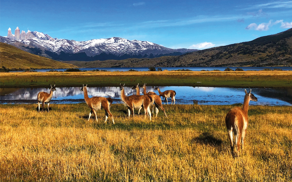 Capital Natural: El valor de la naturaleza y la biodiversidad en el desarrollo sostenible