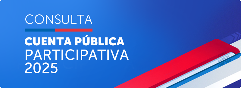 Consulta Cuenta Pública Participativa 2025