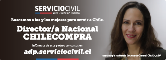 Concurso público Director/a Nacional Chilecompra