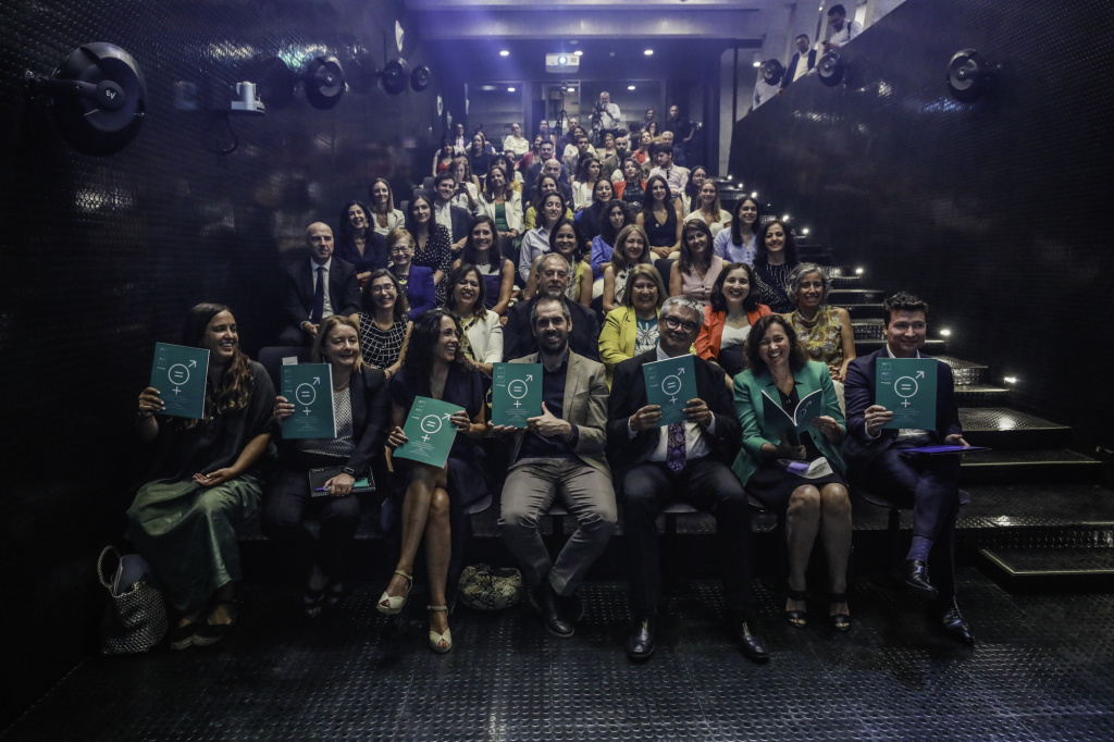 Directorías en Chile: Mujeres superan el 20% por primera vez